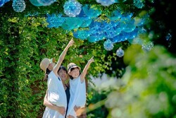 サマーディスプレイ inみつけイングリッシュガーデン