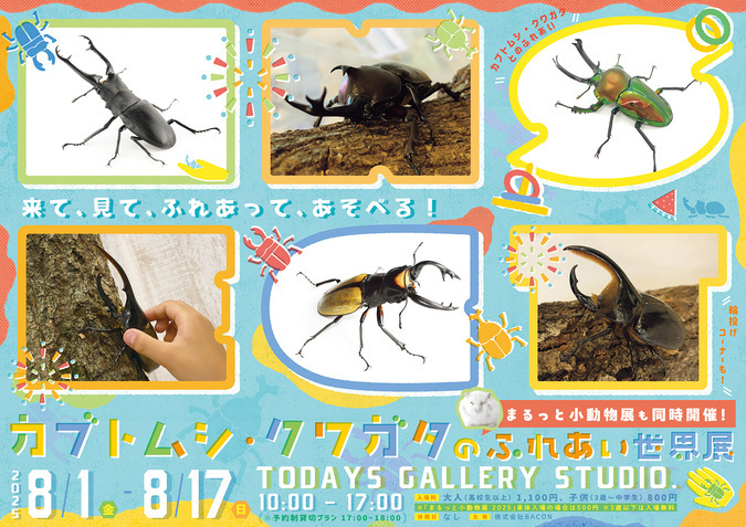 カブトムシ・クワガタのふれあい世界展 2025