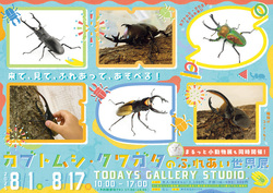 カブトムシ・クワガタのふれあい世界展 2025