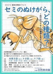 セミのぬけがら、どの種類？