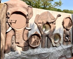 「関西唯一！姫路セントラルパークに5年ぶりのゾウ専用エリア「ゾウの森」が新オープン」の写真