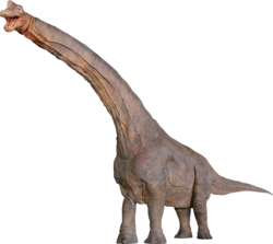 ブラキオサウルス（全長13.0m）