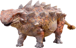 アンキロサウルス（全長7.6m）