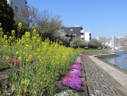 「【2025品川区】夏休み後半の思い出作りに行きたい！手持ち花火ができる公園5選」の写真