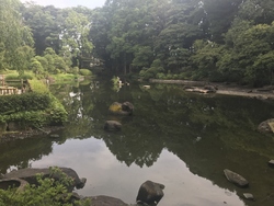  提供：品川区