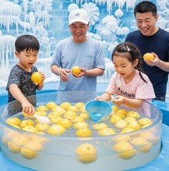 「室内で梨狩り体験＆氷柱で涼める！　小学生向け自由研究ワークショップが原宿で開催！」の写真