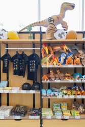 「福井駅前のハピリンモールに高さ約2mの「巨大恐竜ガチャ」登場！　人気グッズ当たる」の写真