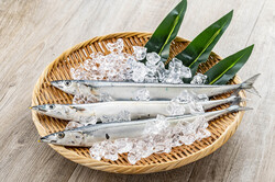 北海道産　生さんま