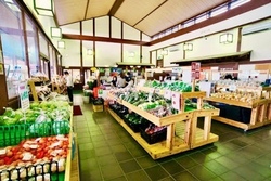 「【糸島周辺】8月23日・24日の今週末のおでかけにもおすすめ！人気スポットランキング」の写真