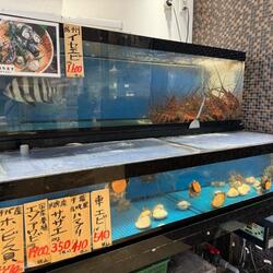 「【館山周辺】8月23日・24日の今週末のおでかけにもおすすめ！人気スポットランキング」の写真