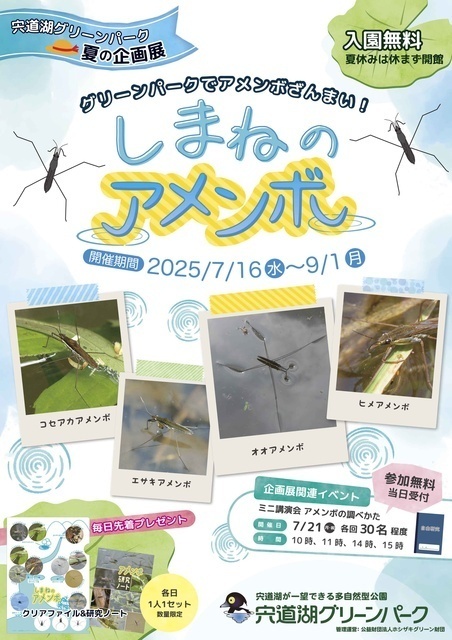 宍道湖グリーンパーク 夏の企画展 しまねのアメンボ│（c） green