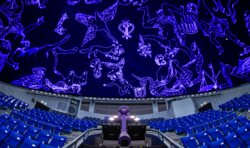 「【大宮周辺】8月23日・24日の今週末のおでかけにもおすすめ！人気スポットランキング」の写真