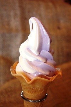訪れたら必ず食べたいソフトクリームです