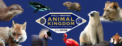 「徳島市の動物園で「夜の動物園2025」が開催　ライトアップやコンサート、宝さがしも！」の写真