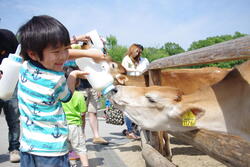 「那須の2大テーマパークが未就学児入園無料に！　夏休み最終週は家族でお得におでかけ」の写真