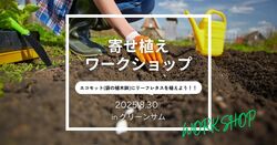 「宮城石巻グリーンサムで親子向けやさいウィーク開催！　タネまき体験や野菜詰め放題も」の写真