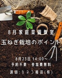 「宮城石巻グリーンサムで親子向けやさいウィーク開催！　タネまき体験や野菜詰め放題も」の写真
