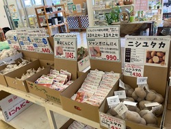 「宮城石巻グリーンサムで親子向けやさいウィーク開催！　タネまき体験や野菜詰め放題も」の写真