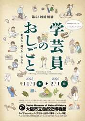 「「大阪市立自然史博物館」で学芸員のおしごと特別展　標本の収集・管理・研究を紹介！」の写真