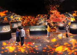 「マクセル アクアパーク品川で海の世界の紅葉狩り　超没入型アートでイルカと秋体験」の写真