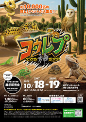 「神戸最大級の爬虫類イベント「コウレプ」が開催決定　ふれあいコーナー＆珍獣グルメも」の写真