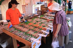 「福井県最大級の港町で「越前さかなまつり」が開催！　鮮魚競り体験や魚のつかみ取りも」の写真