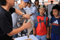 「福井県最大級の港町で「越前さかなまつり」が開催！　鮮魚競り体験や魚のつかみ取りも」の写真