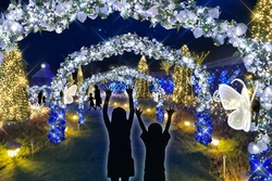 「滋賀県で関西最大級イル「HIKARIUM2025」が開催　蝶と旅するファンタジーガーデン満喫」の写真