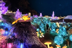 「滋賀県で関西最大級イル「HIKARIUM2025」が開催　蝶と旅するファンタジーガーデン満喫」の写真