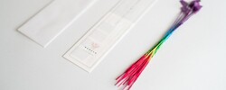 「柏の葉T-SITEで「夏の後夜祭 2025」が開催！　灯籠流しや花火で夏の余韻を楽しもう！」の写真