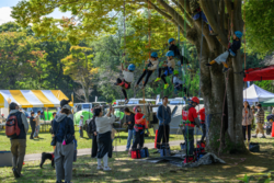 「栃木県真岡市で「アウトドア秋フェス」開催　ツリークライミングや公園でキャンプ泊も」の写真