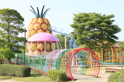 ※画像は水遊び広場ではありません