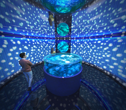 「魚類・両生類・爬虫類も！「広島もとまち水族館」OPEN　8つの空間で生命の神秘を体験」の写真