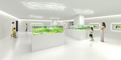 「魚類・両生類・爬虫類も！「広島もとまち水族館」OPEN　8つの空間で生命の神秘を体験」の写真