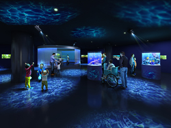 「魚類・両生類・爬虫類も！「広島もとまち水族館」OPEN　8つの空間で生命の神秘を体験」の写真
