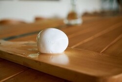 molq CHEESE MOLDING FAQTORY
