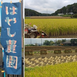 「全国のクラフトアイス22店舗など約70店が集結　たまプラーザで昨年大盛況の食イベント」の写真