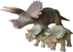 トリケラトプス