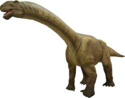 カマラサウルス