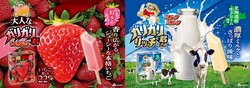 写真左：大人なガリガリ君いちご／写真右：ガリガリ君リッチミルクミルク
