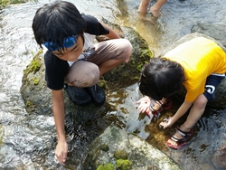 「【茨城】2025年9月も涼しく遊べる！おすすめ「水遊びスポット」4選　人気＆穴場も」の写真