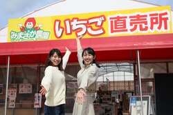 「岡山の農園でシャインマスカット食べ放題と桃・梨が楽しめる秋のフルーツ大満喫コース」の写真