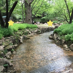 「【東京】2025年9月も涼しく遊べる！おすすめ「水遊びスポット」10選　人気＆無料も」の写真