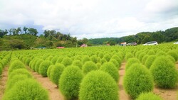 「【木更津周辺】9月6日・7日の今週末のおでかけにもおすすめ！人気スポットランキング」の写真