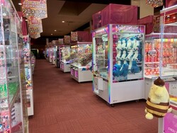 「【大洗周辺】9月6日・7日の今週末のおでかけにもおすすめ！人気スポットランキング」の写真