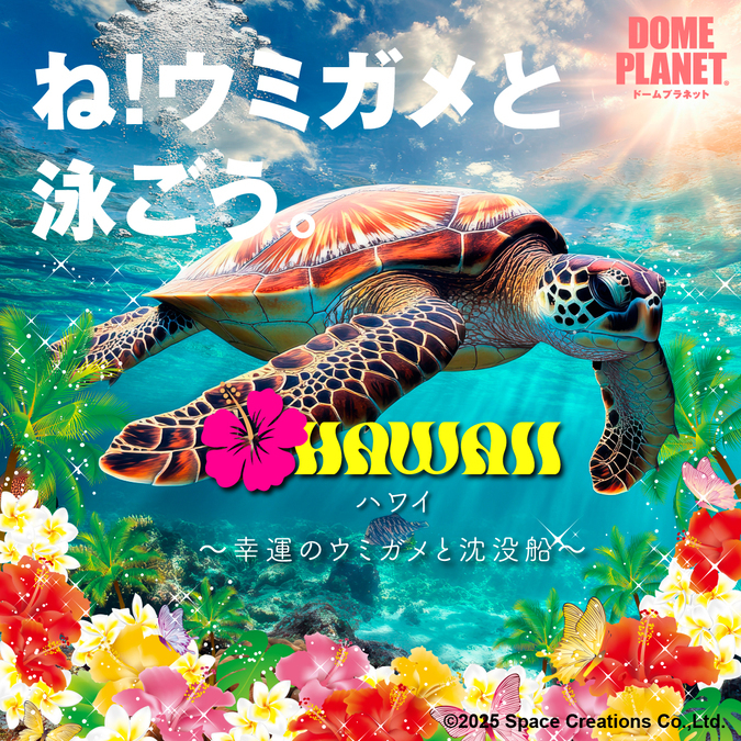 「ハワイ〜幸運のウミガメと沈没船〜」のイメージ