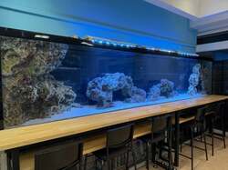 「宮古島初の水族館が2025年9月オープン！　親子で海の生きものとふれあえる体験型施設」の写真