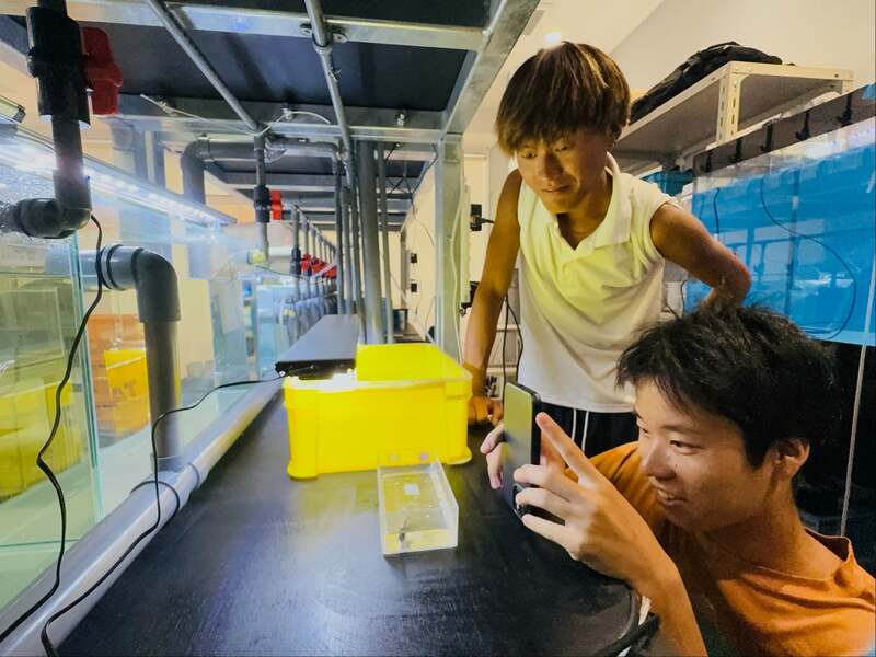 水族館のチイサナな裏側 （バックヤードツアー）