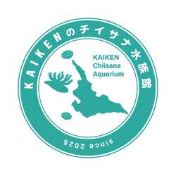 「宮古島初の水族館が2025年9月オープン！　親子で海の生きものとふれあえる体験型施設」の写真