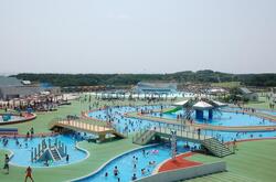 「【神奈川】2025年9月も涼しく遊べる！おすすめ「水遊びスポット」8選　人気＆無料も」の写真